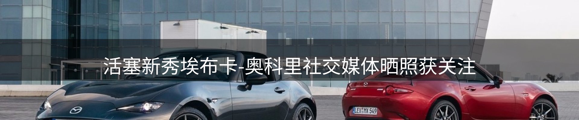 焦点亮点